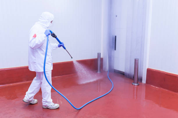 Best Rust Removal  in Coleman, MI