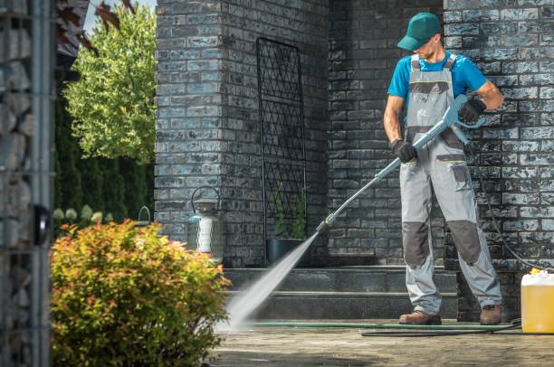 Best Fence Cleaning  in Coleman, MI