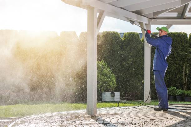 Best Playground Equipment Cleaning  in Coleman, MI