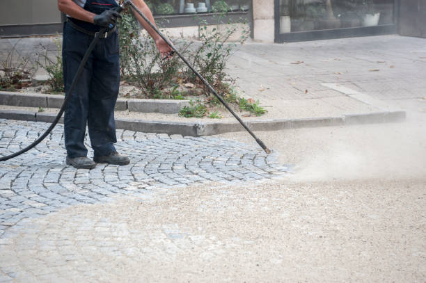 Best Warehouse Cleaning  in Coleman, MI