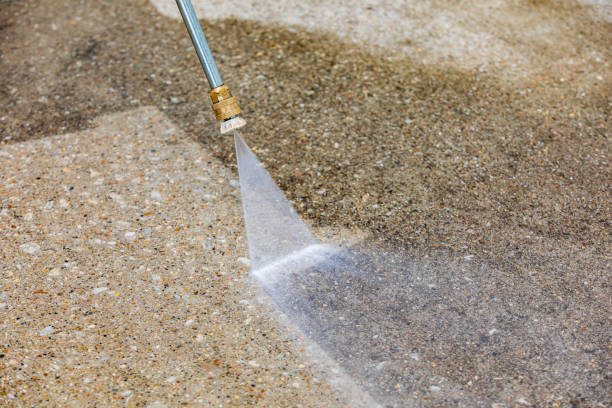 Best Driveway Pressure Washing  in Coleman, MI