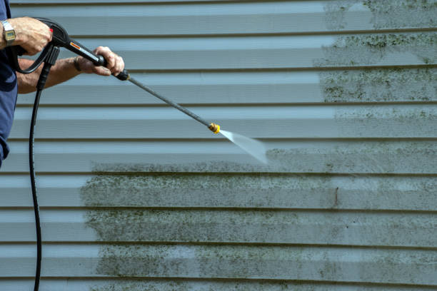 Best Solar Panel Cleaning  in Coleman, MI