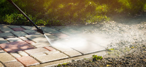 Professional  Pressure Washing Services in Coleman, MI